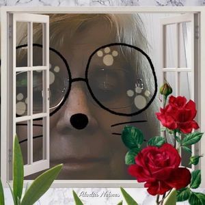 Meet your Posher, Connie